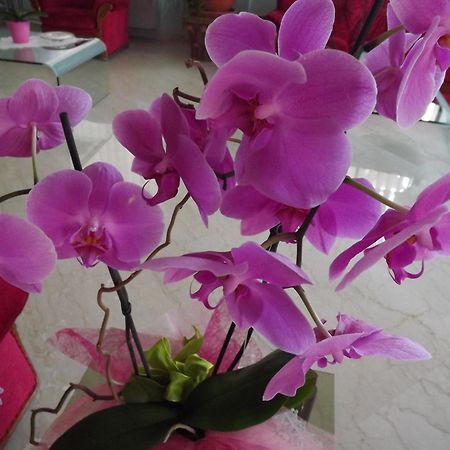Hotel Cristina Chianciano Terme Room photo